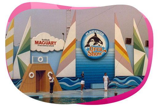 Conheça a história da maior atração do Playcenter, a Orca Show